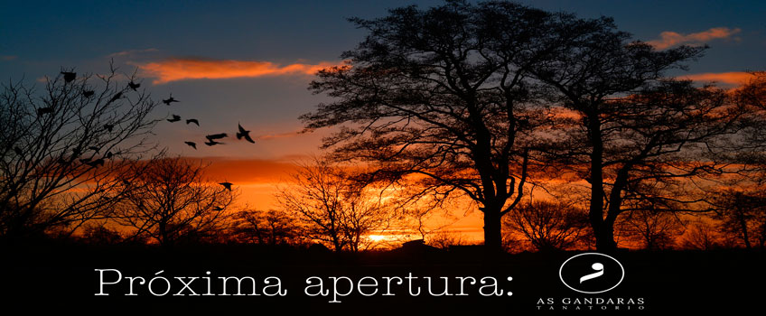 proxima apertura