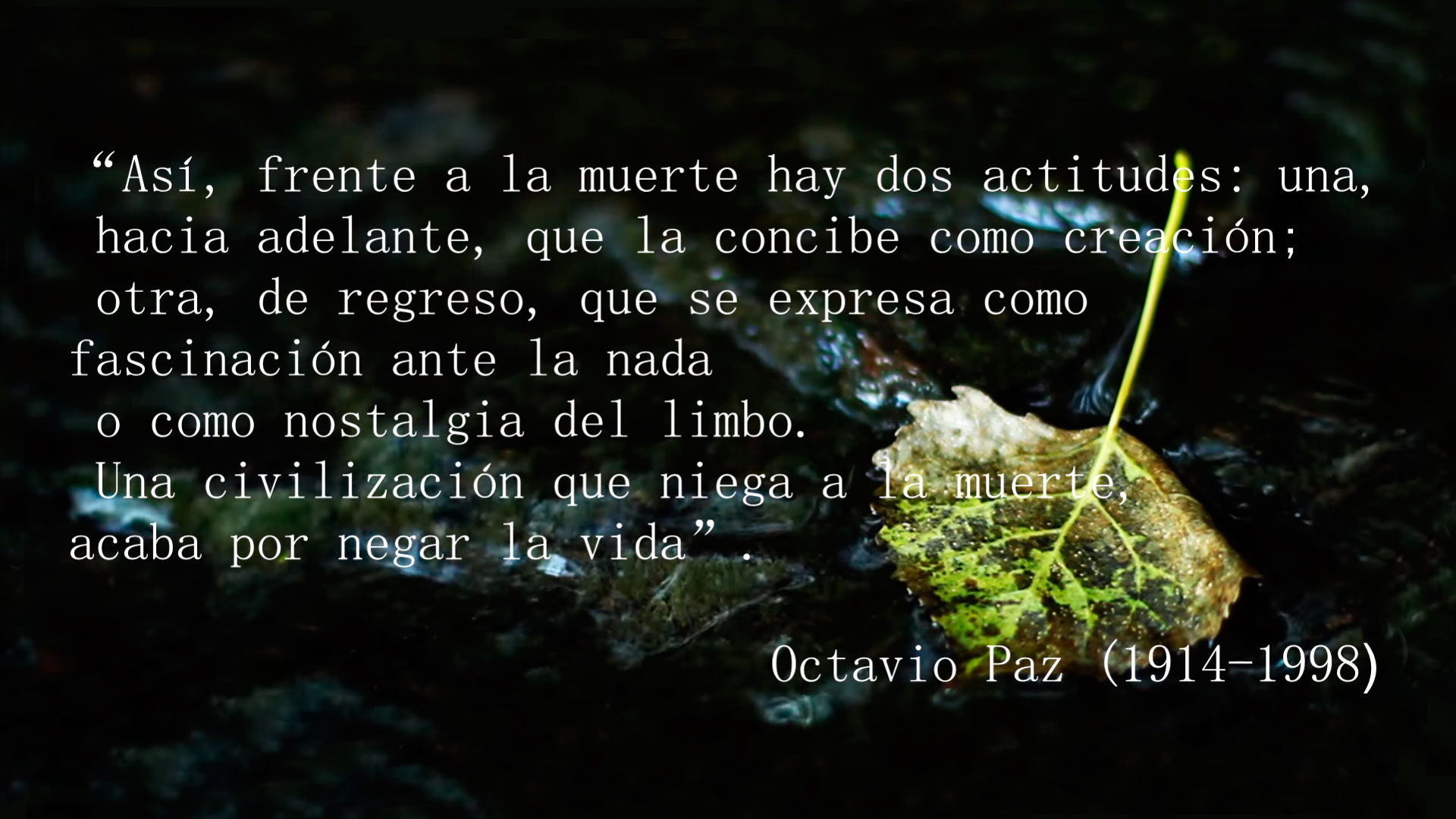 te-gustaria-ser-un-arbol-despues-de-tu-muerte-1920