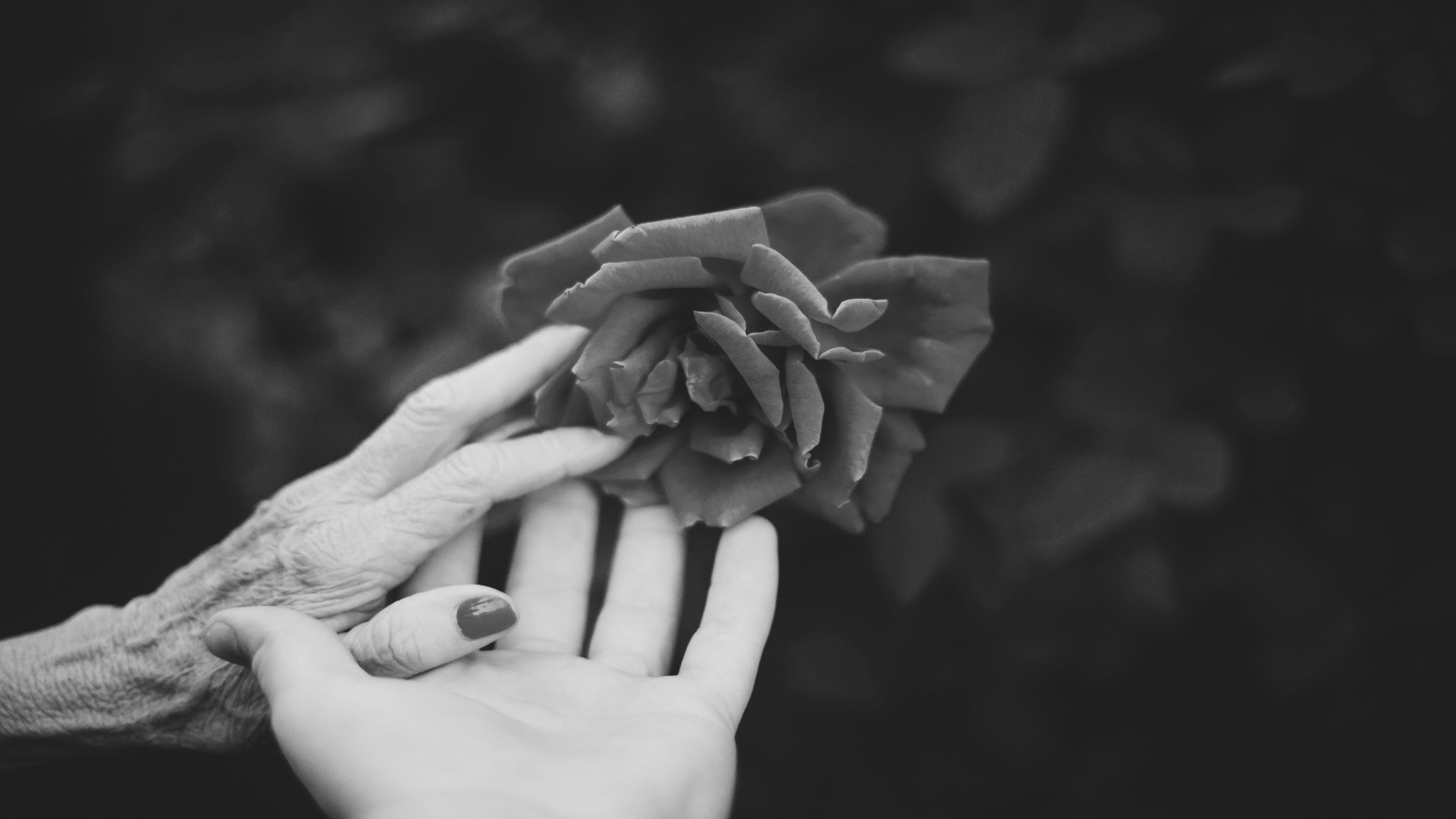 Los hijos se convierten en padres en la muerte de sus padres1920