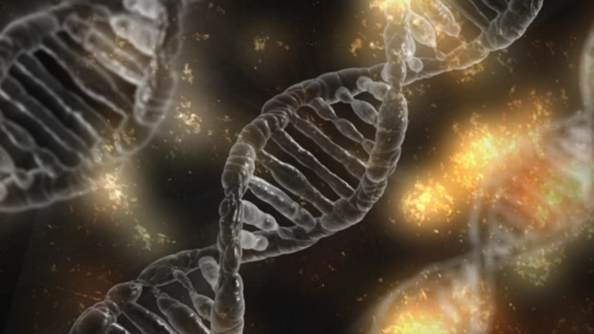 En 2045, la muerte será opcional y rejuvenecer será posible