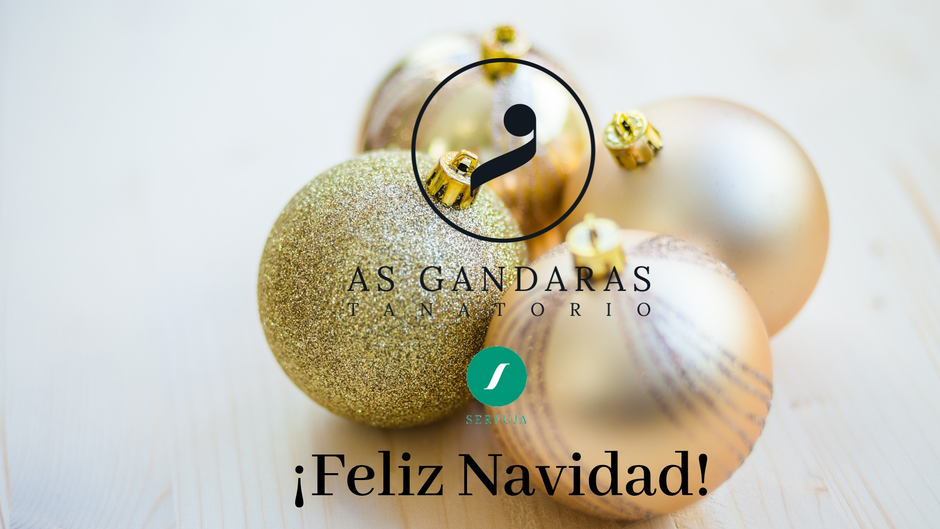 ¡Feliz Navidad!