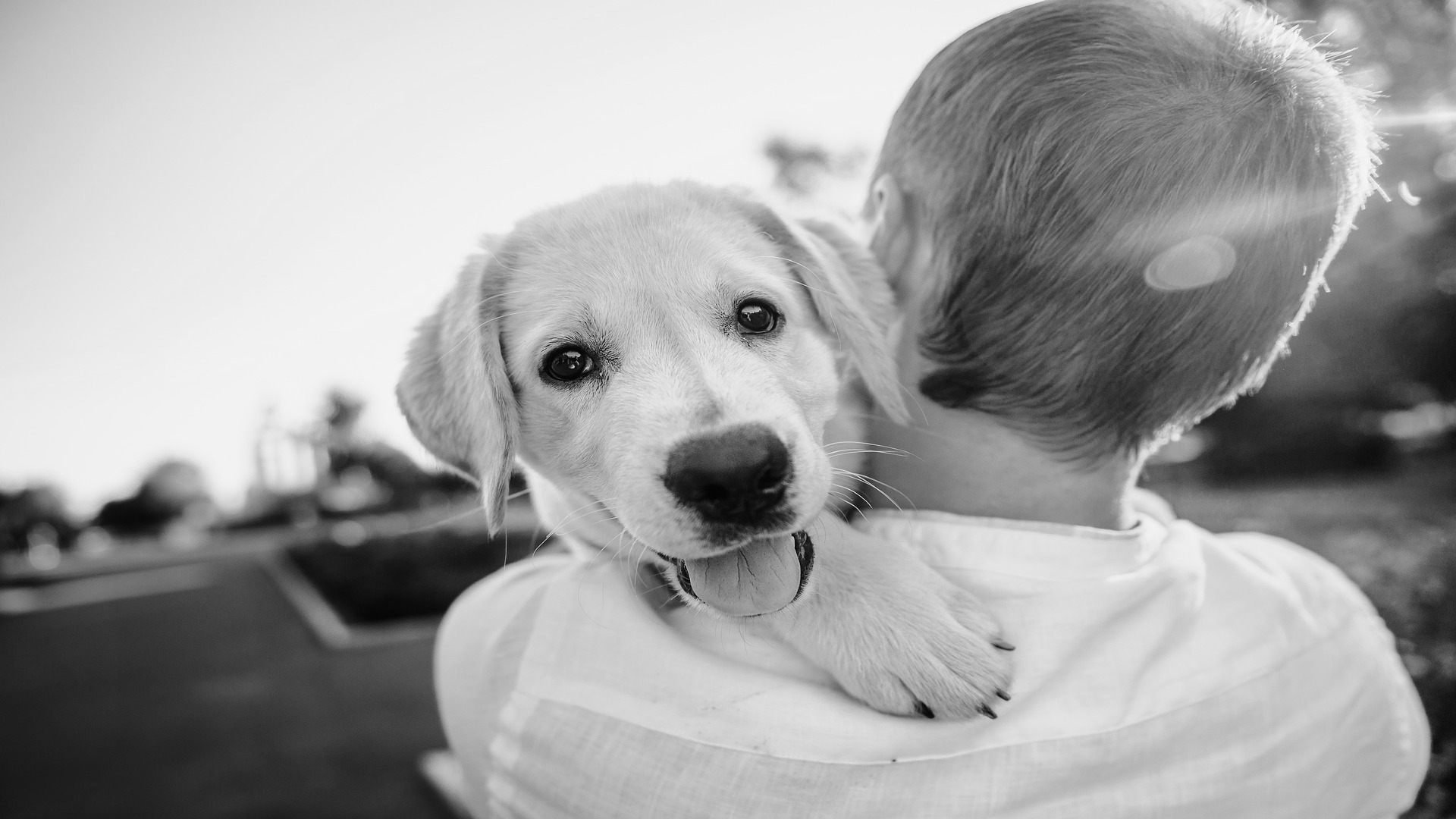 El perro es el mejor amigo del hombre y su muerte puede ser mas dolorosa que la de una persona1920