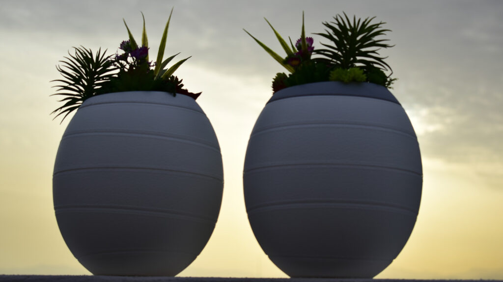Se crea el primer cementerio ecologico1920