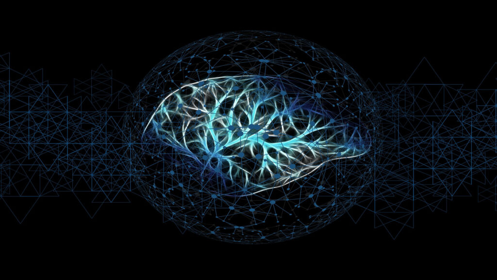 es-etico-experimentar-con-tejido-cerebral-humano-1920