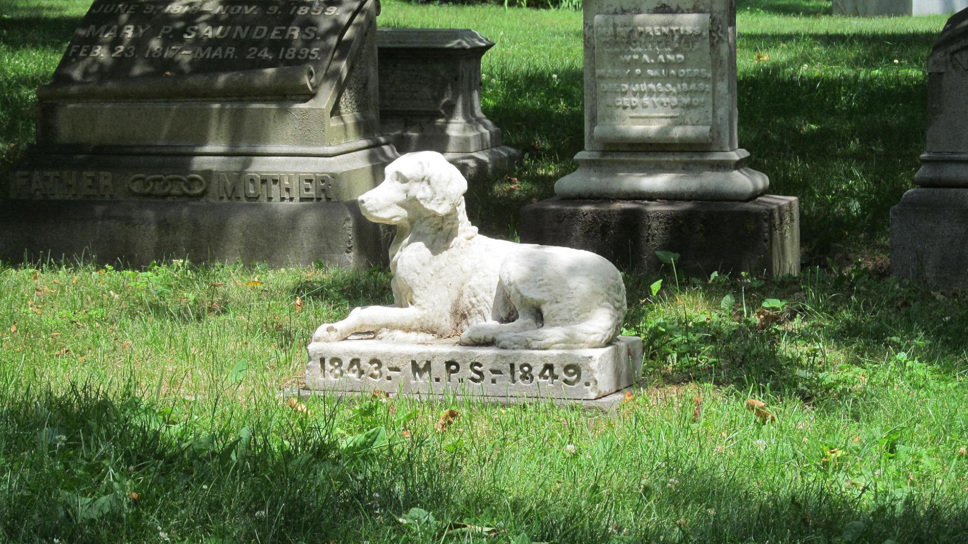 lugo-contara-con-un-cementerio-municipal-de-mascotas-1920