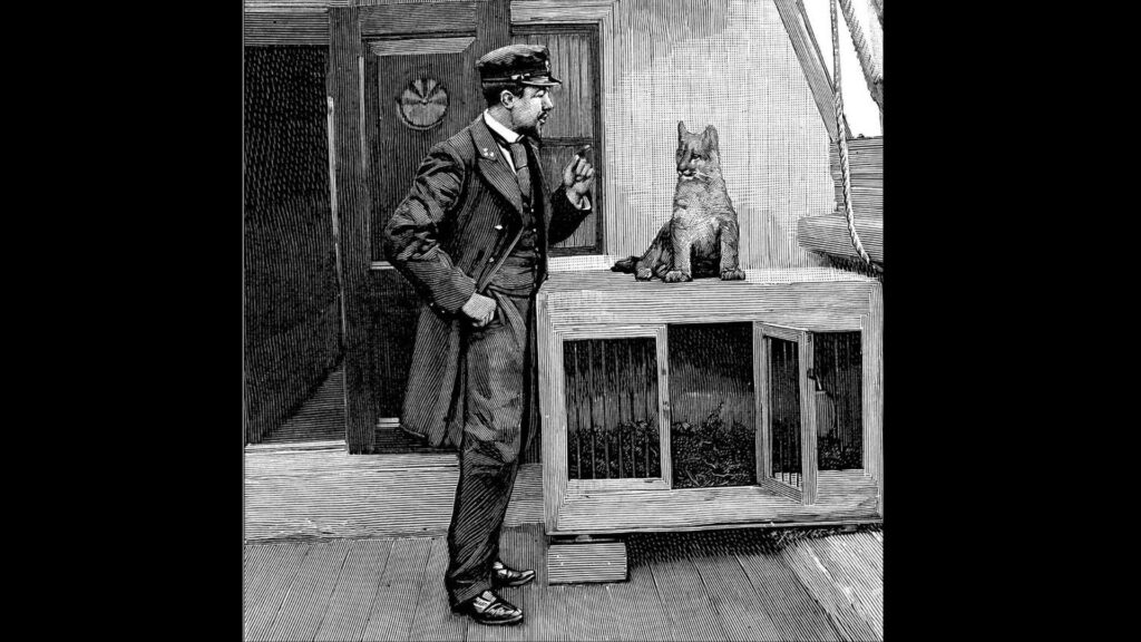 jenny-la-gata-que-predijo-el-hundimiento-del-titanic-1920